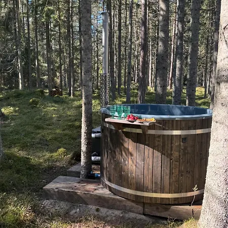 فيلة Paus Puhkemaja