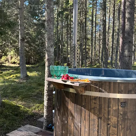 Vila Paus Puhkemaja *