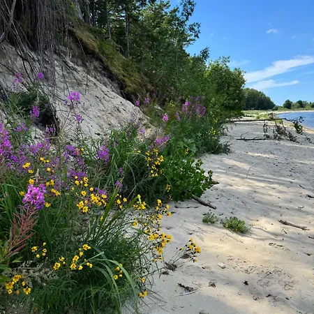 Villa Paus Puhkemaja *