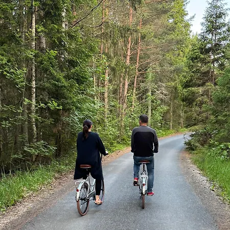 Paus Puhkemaja 别墅