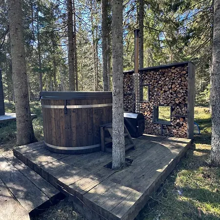 فيلة Paus Puhkemaja
