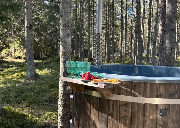 Willa Paus Puhkemaja *