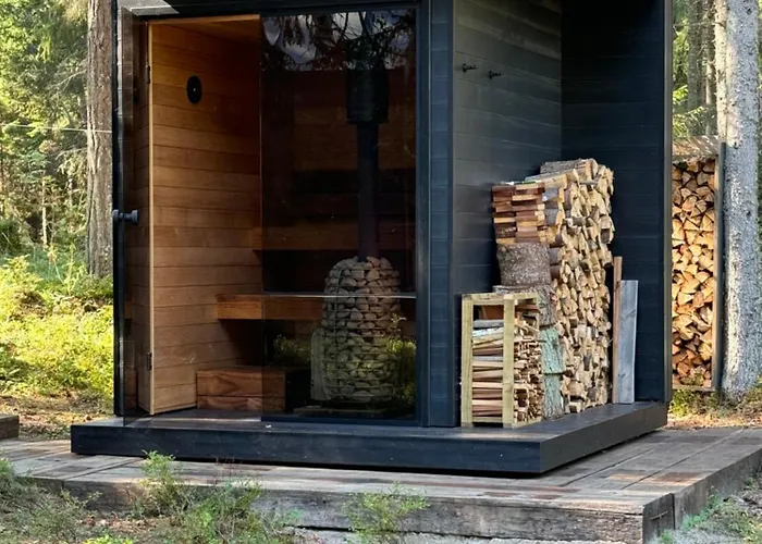 Paus Puhkemaja Vila *