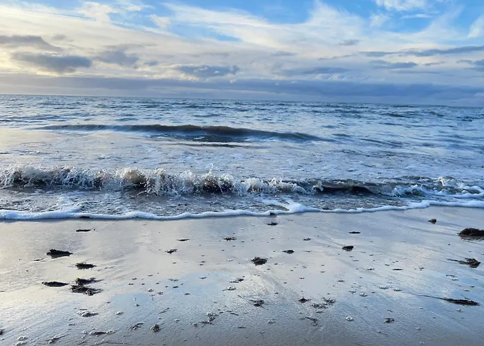 Paus Puhkemaja Willa *