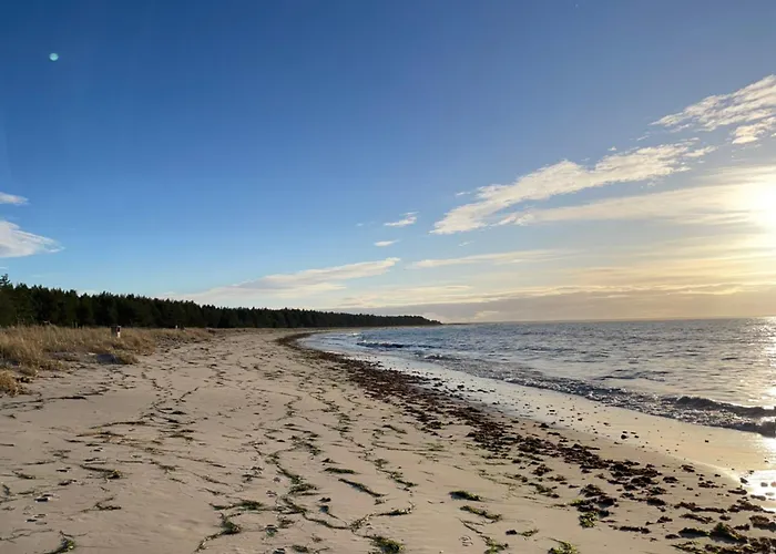 Paus Puhkemaja Vila *