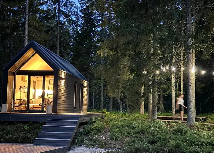 Paus Puhkemaja Vila *