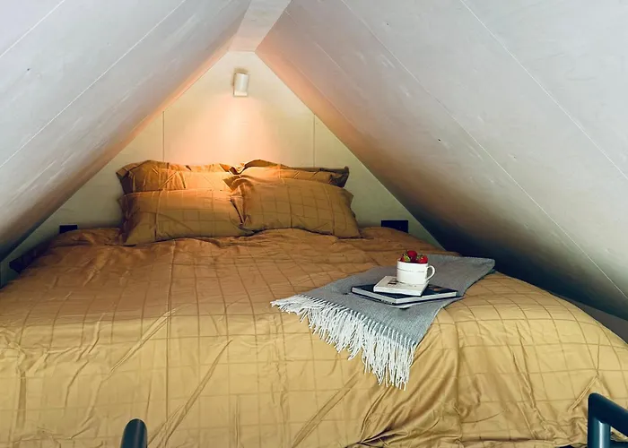 Paus Puhkemaja Willa