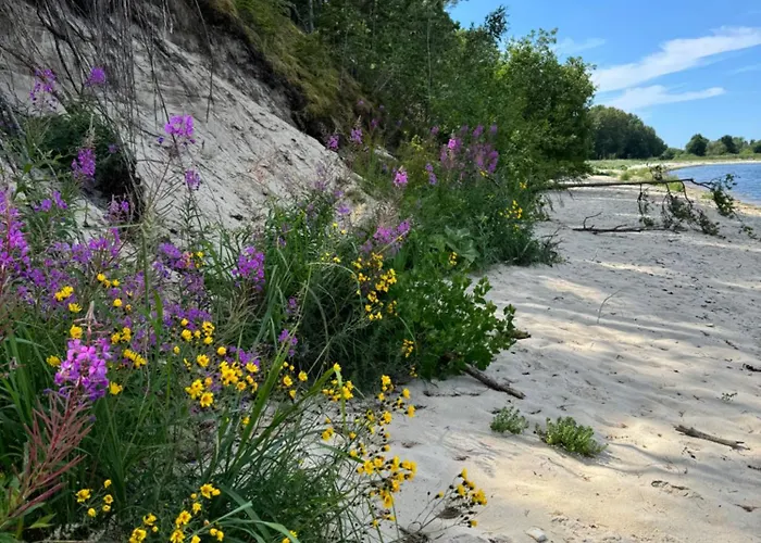 Vila Paus Puhkemaja *