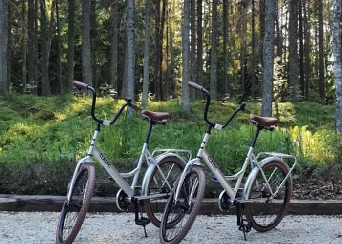 Paus Puhkemaja Willa *